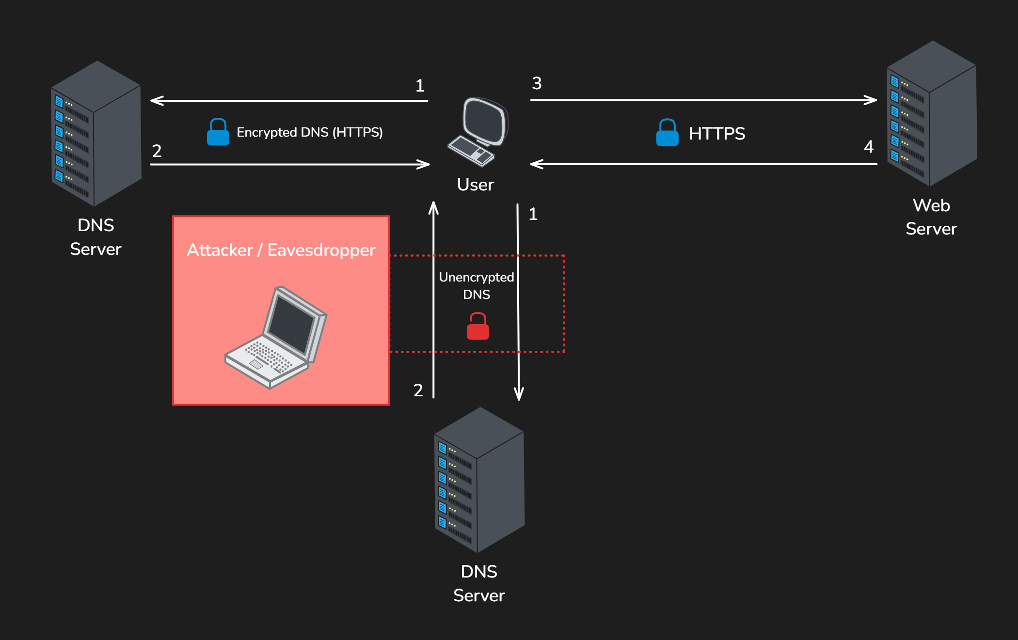 DNS Query